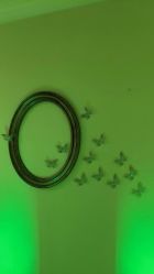 -蕾蕾美颜美容美体