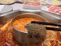 -蜀九香火锅(九眼桥店)