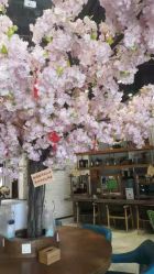 -简影造型·自选烫染接发salon