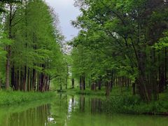 -西溪国家湿地公园