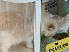 -万达广场(宝山店)