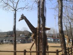 -大连森林动物园