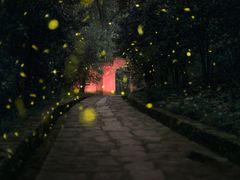 -灵谷景区