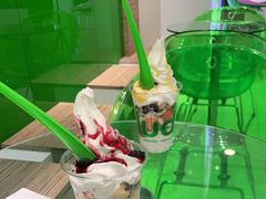 -Salud撒露欧洲冻酸奶(蓝色港湾店)