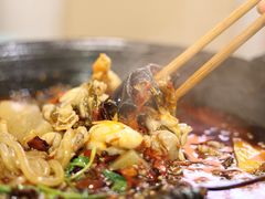 -鸿顺老铁锅美蛙鱼府(解放碑店)