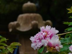 -龙华寺