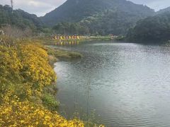 -广州市石门国家森林公园