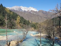 -黄龙山原始森林景区