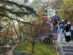 -青岛海滨风景区