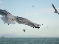 -滇池海埂公园