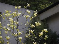 -大连植物园