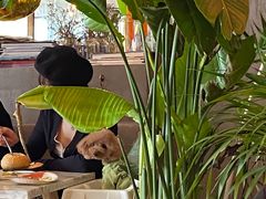 -the rug 飞毯 (朝阳公园店)