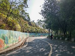-大雁山风景区