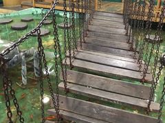 -上海大自然野生昆虫馆(东方明珠·爬宠昆虫探索中心)