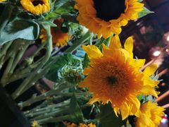 -L.C FLORA花予你(城西银泰城店)