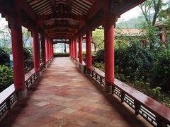-顺峰山公园