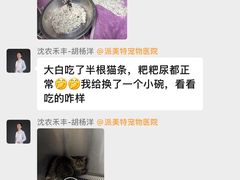 -派美特宠物医院·核磁CT·骨科肿瘤·疑难转诊(沈农禾丰店)
