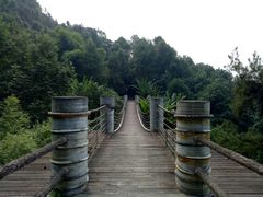 -铁山坪森林公园