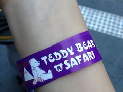 -济州岛泰迪熊博物馆