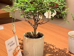 -CURRY YA 熟成咖哩專門店(深圳湾万象城店)