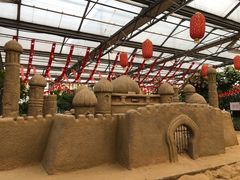 -南宫五洲植物乐园