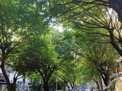 -糖匠(垂虹路店)