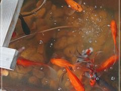 -冯记白土岗辣子鸡