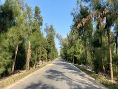 -漩门湾国家湿地公园