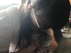 -猫猫幼稚园·撸猫·桌游·电玩