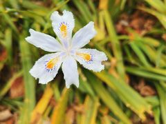 -上海吴淞炮台湾国家湿地公园