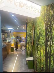 -神奇动物撸宠馆·羊驼·小浣熊·异宠(豫园店)