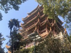 -黄鹤楼公园(黄鹤楼)