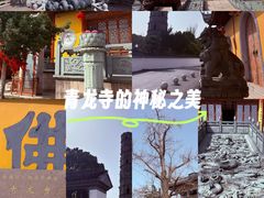 -上海青龙寺