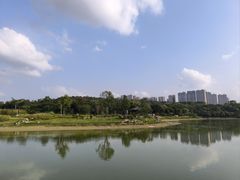 -广西壮族自治区药用植物园