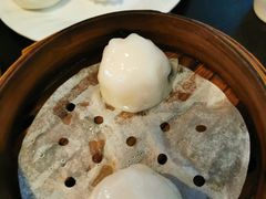 添运来虾饺皇-添运来(茶园奥园广场店)