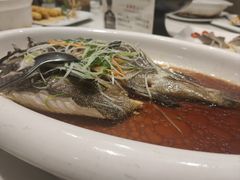 -国惠大酒楼(宝龙店)
