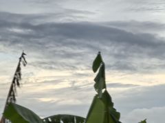 -德宏芒市国际机场