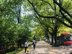 -团城山公园