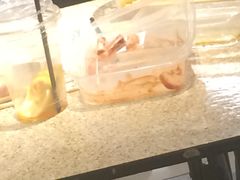 -孖记茶档·热腾茶餐(乐峰店)