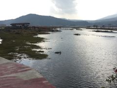 -腾冲北海湿地