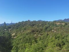 -白水寺森林公园