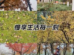 -白塘生态植物园