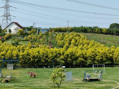 -紫颐香薰山谷景区