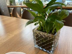 -宋益驴蹄子面肉夹馍(辛家庙店)