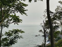 -小麦岛公园