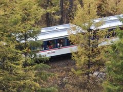 -莫尔道嘎国家森林公园