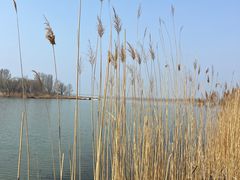 -野鸭湖国家湿地公园