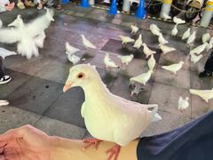 -江燕路万科里