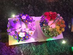-BONCAKE裱花蛋糕(万象汇店)