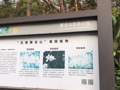 -聚龙山公园